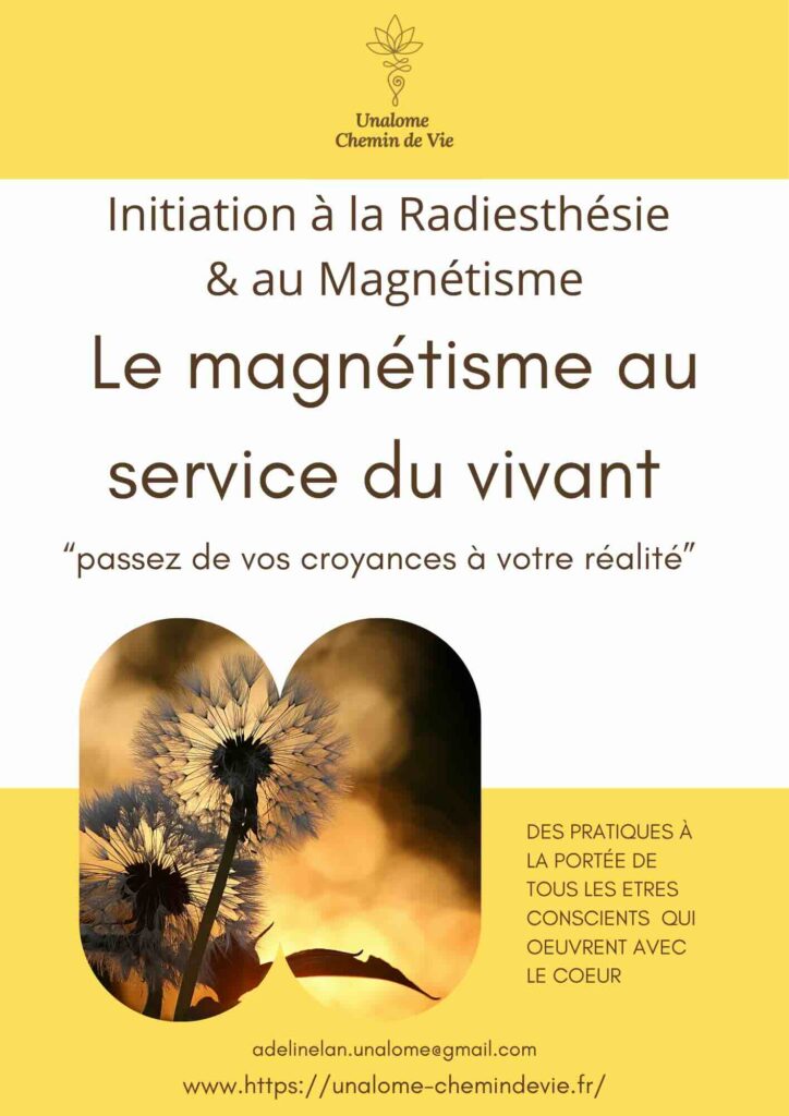Initiation radiesthésie et magnétisme par Unalome chemin de vie