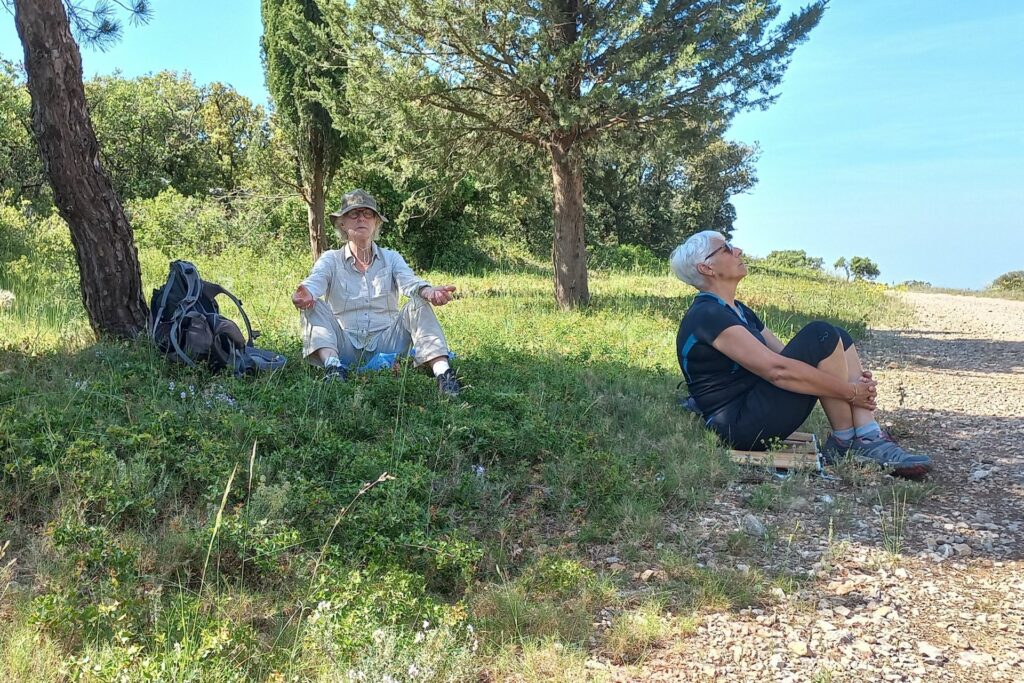 Sophro nature par Unalome chemin de vie